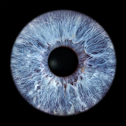 Eric 2 1000px